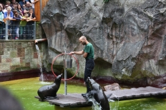 IMG_6866